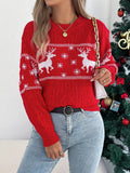 Christmas Reindeer Round Neck Sweater-0